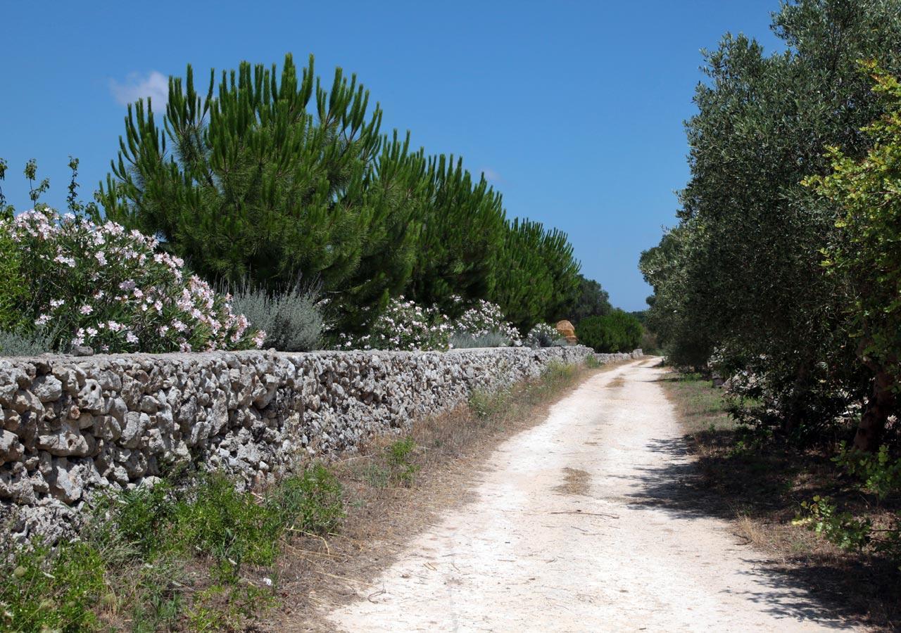 Novecento Room And Breakfast Puglia Massafra Exterior photo